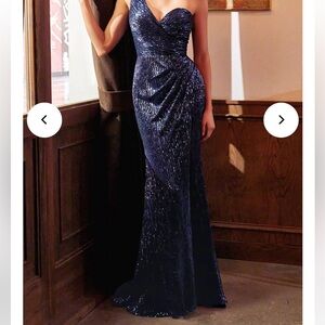 Cinderella Divine Gown / Dress